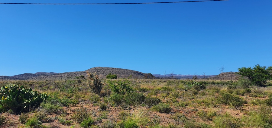 0 Bedroom Property for Sale in Willowmore Eastern Cape